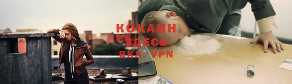 спайс Алзамай