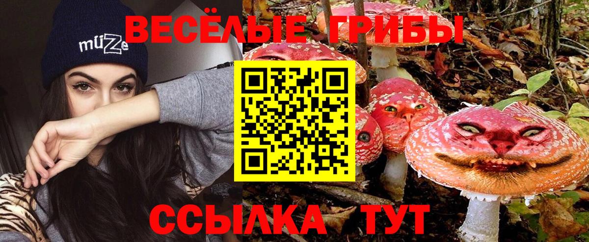 Нарьян-Мар  Галлюциногенные грибы MAGIC MUSHROOMS  Вход с VPN 